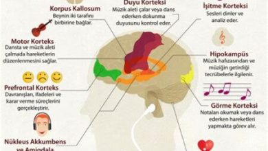 Müzik Dinlerken Beyin Aktivitesi